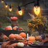 Licherkette - 10 Flammen - orange Náhľad obrázku produktu 43