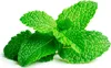 Click and Grow Mäta pieporná, kapsule so semenami a Náhľad obrázku produktu 1