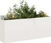 A white rectangular planter filled with green plants and small yellow and blue flowers, set against a white background. Anteprima dell’immagine prodotto