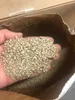 25 kg. Semi di girasole sgusciati BRUCH - Mangime per Anteprima dell’immagine prodotto 2