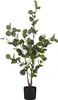Mica Decorations Eucalyptus Kunstpflanze in Blumentopf - Produktbild-Vorschau 1