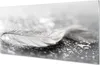 Glasbilder 100x50 Wandkunst Tropfen Feder Makro Produktbild-Vorschau 1