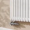 AICA Traditioneller Heizkörper 600 x 1460 mm Gusseisenstil Produktbild-Vorschau 6