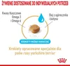 ROYAL CANIN Yorkshire Terrier Adult 8+ 3kg Podgląd zdjęcia produktu 3