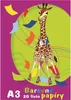 Farbiges Papier A3/20/80g, 20 Blatt, STEPA Produktbild-Vorschau 2