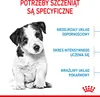 Royal Canin Puppy Mini - 2kg Podgląd zdjęcia produktu 2