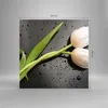 Bilder auf glas - Tulpen Blume Pflanzung Pflanze - 50x50cm Produktbild-Vorschau 3