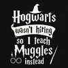 V Bradavicích mě nenajali, tak místo toho učím mudly Harry Náhled obrázku produktu 3