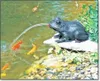 Heissner SOLAR Teichfigur "Frosch" mit Wasserspielpumpe Produktbild-Vorschau 6