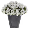 Prosperplast Blumentopf - Kunststoff - Bronze - D30 x 28 cm Produktbild-Vorschau 1