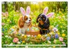 Cavalier King Charles Spaniel - Ein Jahr voller Erlebnisse Produktbild-Vorschau 6