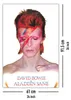 Pyramid International PP31521, 1 Stück(e), David Bowie, Produktbild-Vorschau 5