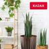 KADAX Blumentopf aus Kunststoff "Costa", mit Produktbild-Vorschau 7