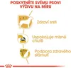 Royal Canin 3182550799768, Adult, Geflügel, 3 kg Produktbild-Vorschau 10