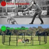 A collage showing a dog on a leash being pulled by a person, contrasted with dogs playing in a fenced enclosure. Náhled obrázku produktu