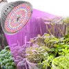 A grow light illuminates several potted plants. Produktbild-Vorschau