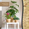 HMF 37280-19CM Innovativer Blumentopf geflochten aus Produktbild-Vorschau 4