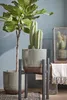Mica Decorations Ascot Support pour plantes XL - L42 x l42 Voir les images du produit 6