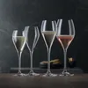 SPIEGELAU Special Glasses Champagne Sparkling Party - 160 Anteprima dell’immagine prodotto 5