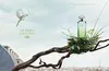 Hermes Un Jardin Sur Le Toit Edt Spray Refillable 100 ml Produktbild-Vorschau 23