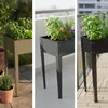Jardinière surélevée Relaxdays, jardin, balcon et terrasse, Voir les images du produit 5