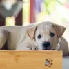 Relaxdays Futterbar für kleine Hunde, 2 Näpfe V je 300 ml, Produktbild-Vorschau 6
