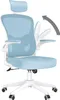 Bürostuhl - Ergonomisch Schreibtischstuhl, Drehstuhl mit Produktbild-Vorschau 1