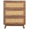 Credenza 61x35x76 cm in legno massiccio di mango Anteprima dell’immagine prodotto 1