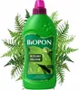 A bottle of Biopon liquid fertilizer for green plants, surrounded by fern leaves. Podgląd zdjęcia produktu