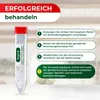 Legona Lagererzwespen gegen Kugelkäfer und Messingkäfer 3 Produktbild-Vorschau 5