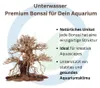 Premium Bonsai Baum M 20x12x20 cm Wurzel Holz Aquarium Deko Produktbild-Vorschau 3