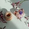 Invisibobble Everclaw Earth hat mich recycelt Produktbild-Vorschau 2