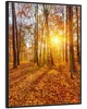Wallario Wandbild Sonnenuntergang im herbstlichen Wald, Produktbild-Vorschau 2