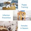 A collage of four images related to dog care, including puppies in a basket, a veterinarian examining a puppy, and a mother dog with a puppy. Produktbild-Vorschau