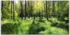 Tulup Leinwand-Bilder 120x60 Wandbild Canvas Kunstdruck Produktbild-Vorschau 1