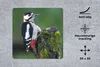 MuchoWow® Mauspad Mousepad Ein Buntspecht mit klaren Farben Produktbild-Vorschau 2