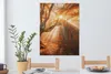 OneMillionCanvasses® - Plátno - Strom - Příroda - Podzim, Náhled obrázku produktu 6