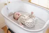 Graco Eluma Nest Beistellbett Voir les images du produit