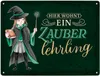 Zauberschülerin Metallschild XXL in 28x38 cm in grün mit Produktbild-Vorschau 1