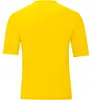 Trikot Team KA JAKO Produktbild-Vorschau 2
