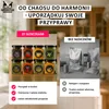 SuperButelki - 24x Słoiczki na przyprawy, 120 ml, pojemniki Podgląd zdjęcia produktu 3