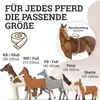 Esposita Reitgurt, Reithilfe mit zwei stabilen Ledergiffen Produktbild-Vorschau 3
