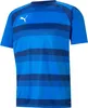 Puma Teamvision Trikot Kurzarm Herren - Royal  | Größe: XL Produktbild-Vorschau 1