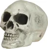 Skelett Totenschädel Dekoration Halloween Gruselfiguren Produktbild-Vorschau 3