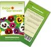 Stiefmütterchen Schweizer Riesen Mischung Samen - Viola Produktbild-Vorschau 1