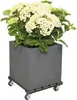 Wagner System Multiroller Rolluntersetzer  aus WPC Produktbild-Vorschau 10