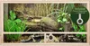 Repiterra® Terrarium Seitenbelüftung Holzterrarium OSB Holz Produktbild-Vorschau 2