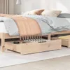 vidaXL Cassettiera per letto con rotelle 2 pezzi 80x55x17 Anteprima dell’immagine prodotto 2