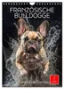Französische Bulldogge - ein Hund für die Familie Produktbild-Vorschau 1