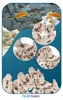 Pierres décoratives pour aquarium - Calcaire d'aquarium des Voir les images du produit 13